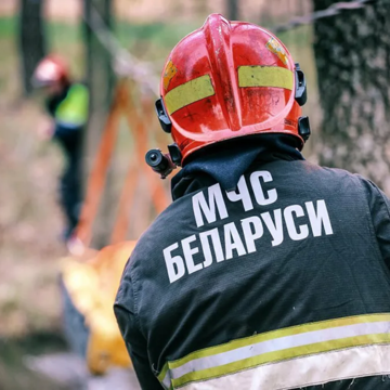 На пожаре в Лунинецком районе погибла женщина