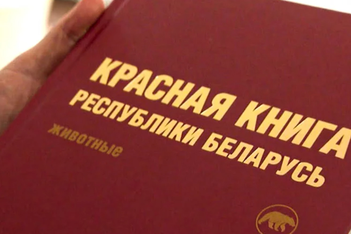 Красной книге Беларуси — 45 лет