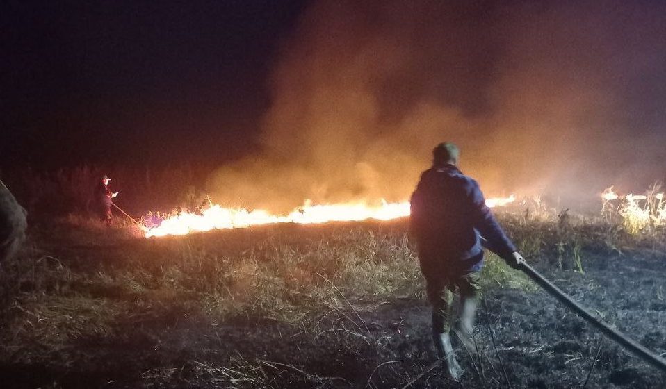 Минлесхоз: в лесах Беларуси сохраняется пожароопасная обстановка